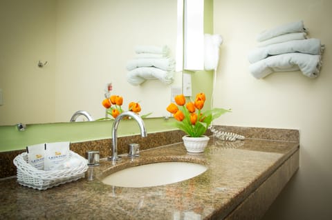 Bathroom sink