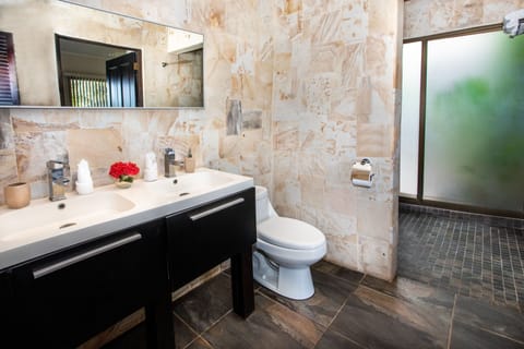 Standard Ocean View Villa | Bathroom | Shower, rainfall showerhead, free toiletries, hair dryer