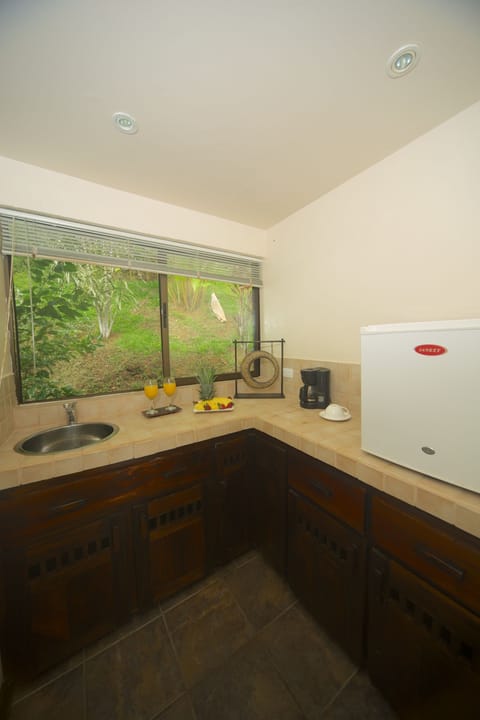 Standard Ocean View Villa | Private kitchen | Fridge, stovetop, coffee/tea maker, electric kettle