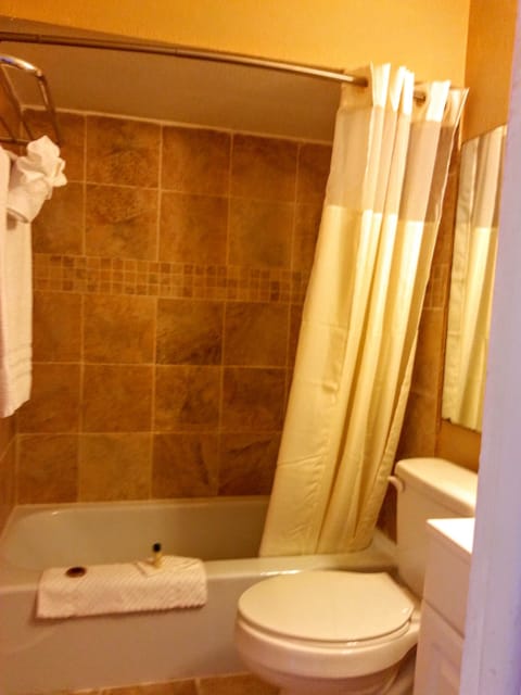 Double Room, Non Smoking, Kitchen | Bathroom | Shower, hair dryer, towels