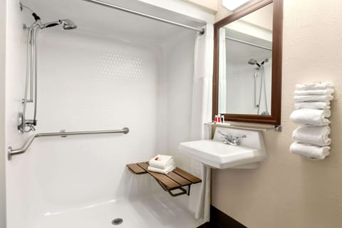 Double Room, Accessible | Bathroom shower