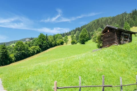 Immediate Surroundings [summer] (<1 km)