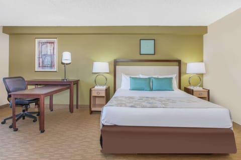 Standard Room, 1 King Bed, Accessible | Premium bedding, desk, laptop workspace, blackout drapes
