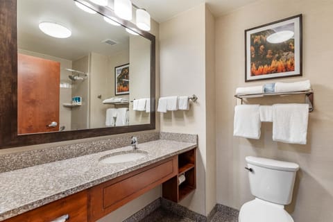 Combined shower/tub, free toiletries, hair dryer, towels