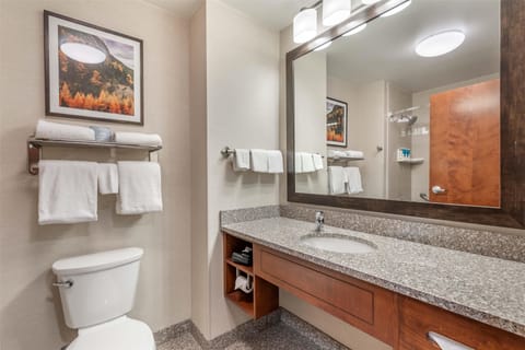 Combined shower/tub, free toiletries, hair dryer, towels