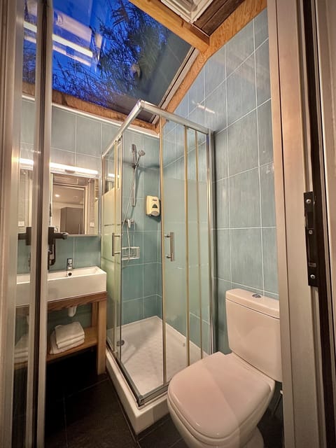 Single Room | Bathroom | Shower, free toiletries, hair dryer, towels