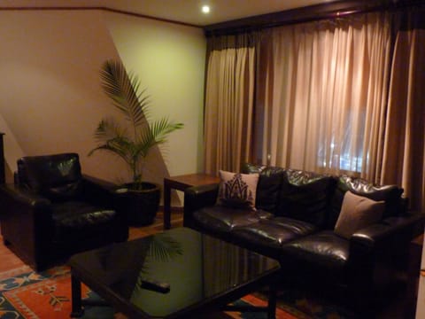 Penthouse | Living area | 20-inch LCD TV with digital channels, TV