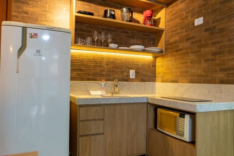 Basic Apartment | Private kitchen | Fridge, microwave, stovetop, blender