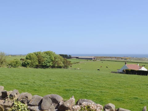 View | Eider Cottage, Embleton