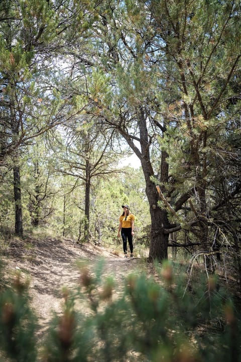 Hiking