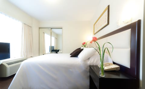 Single Room | Premium bedding, down comforters, minibar, in-room safe