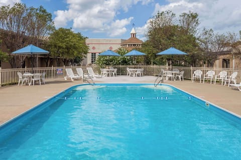 Seasonal outdoor pool, pool umbrellas, sun loungers