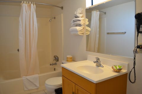 Standard Room, 1 Queen Bed | Bathroom | Combined shower/tub, free toiletries, hair dryer, towels