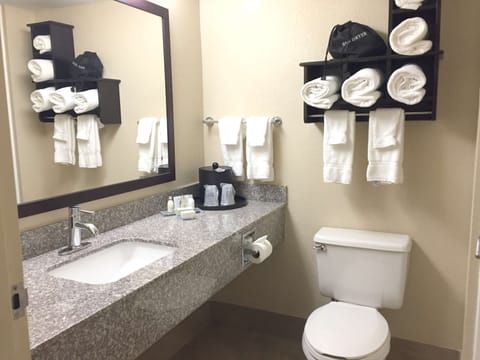 Combined shower/tub, free toiletries, hair dryer, towels