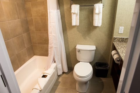 Combined shower/tub, free toiletries, hair dryer, towels