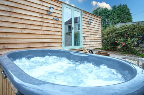 Willow - 1 Bedroom Shepherd's Hut - Amroth (14738)