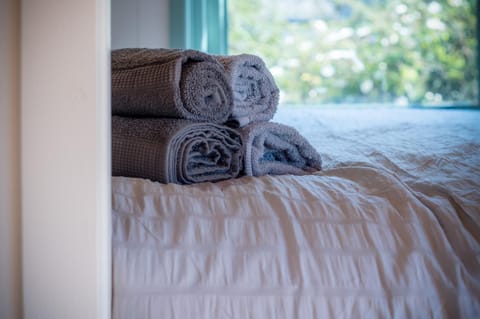 Willow - 1 Bedroom Shepherd's Hut - Amroth (11310)