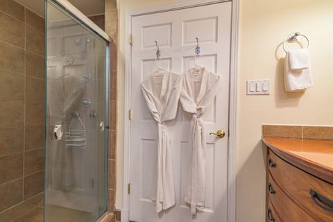 Luxury Suite | Bathroom | Combined shower/tub, hair dryer, towels