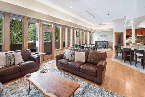 Amazing Views - Facing Vail Mountain