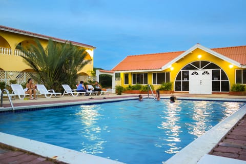 Outdoor pool, sun loungers