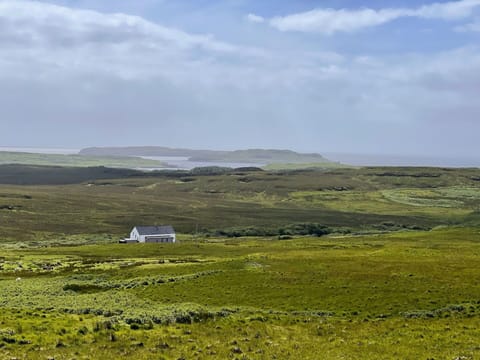 Sky, Cloud, Natural Landscape, Plant, Grass, Mountain, Groundcover, Landscape, Meadow, Grassland