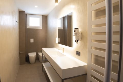 Premium Room | Bathroom | Shower, rainfall showerhead, eco-friendly toiletries, hair dryer