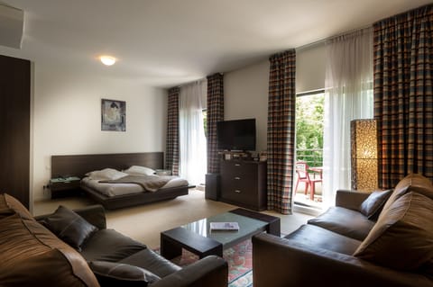 Suite | Living area | Flat-screen TV