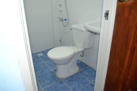 Shower, free toiletries, hair dryer, bidet