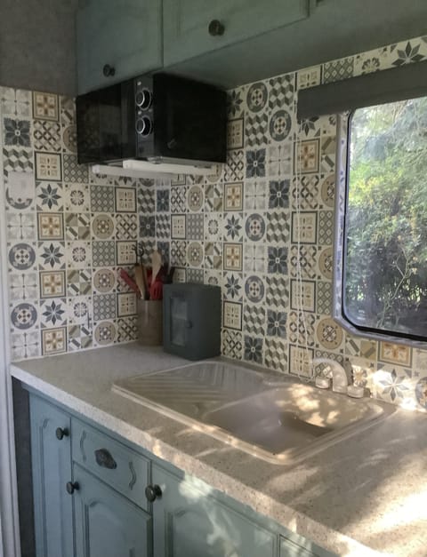 Cabin | Private kitchen | Fridge, microwave, stovetop, electric kettle