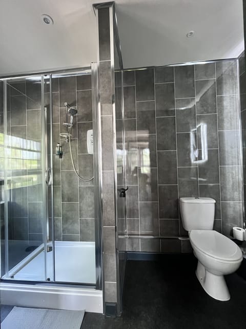 Standard Double or Twin Room | Bathroom | Shower, hair dryer, towels, soap