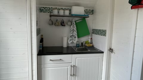 Full-equipped kitchen- cooking hobs, microwave, fridge etc