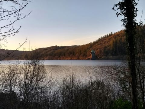 The picturesque Lake Vyrnwy | Lake Vyrnwy Luxury Glamping Pod - Lake Vyrnwy Luxury Glamping Pods, Llanwddyn, near Oswestry