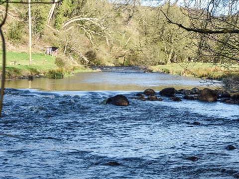 River Doon, where you can fish for Salmon and Trout | Yonderton McGill Cottage - Yonderton Farm, Dalrymple, near Ayr