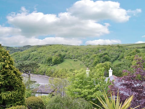 View | Little Larnick, Looe