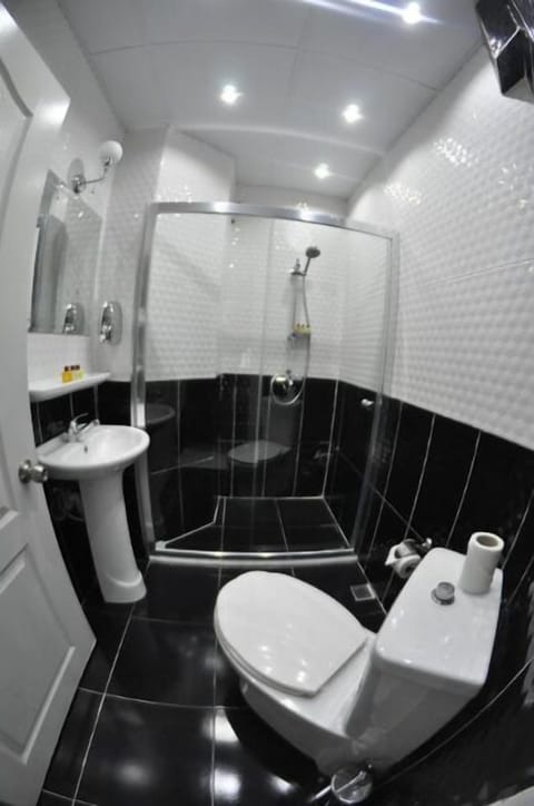 Standard Room | Bathroom | Shower, hair dryer