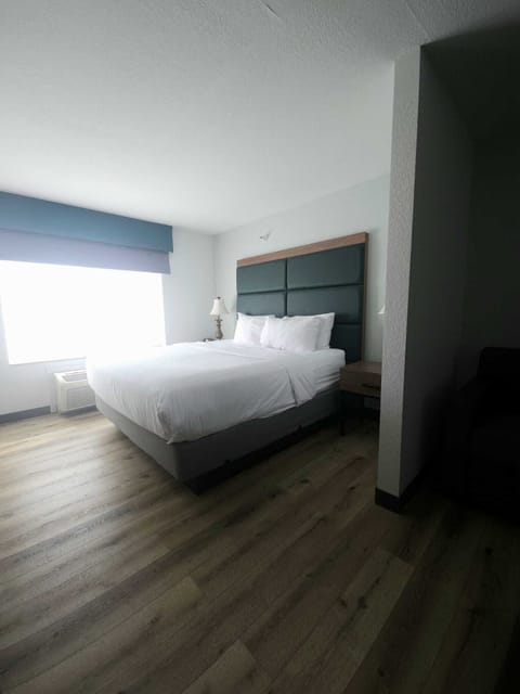 Single Room, 1 King Bed, Non Smoking | Hypo-allergenic bedding, pillowtop beds, individually decorated