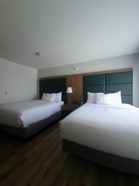 Hypo-allergenic bedding, pillowtop beds, individually decorated