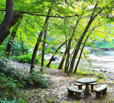 Riverbend Nature Walk