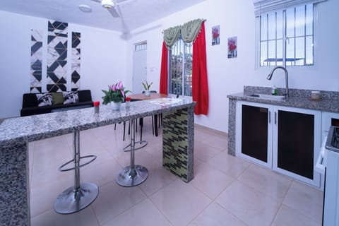 Family Apartment, 2 Bedrooms | Private kitchen | Microwave, coffee/tea maker, electric kettle, highchair