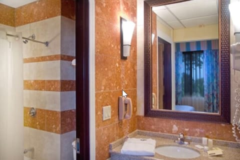 Junior Suite, 1 King Bed, Pool View | Bathroom | Free toiletries, hair dryer, bathrobes, towels