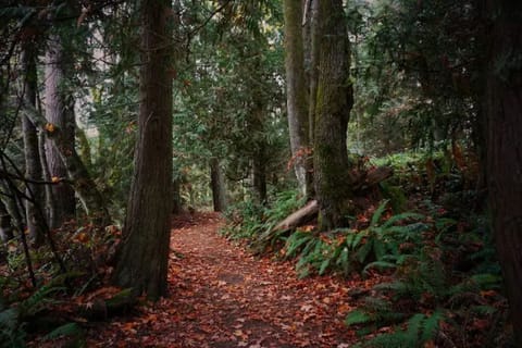 Get outdoors. Adventures await!