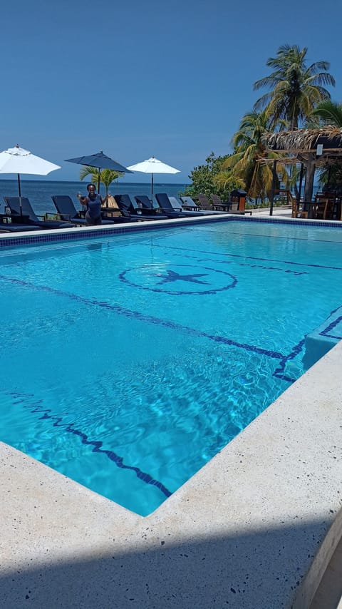 Outdoor pool, open 10:00 AM to 9:00 PM, sun loungers