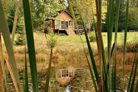 Cabin view from the pond