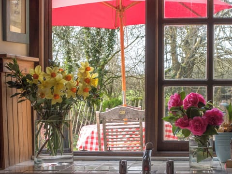 Ty Hir - Llyn Peninsula Holiday Cottages, Garndolbenmaen, near Porthmadog