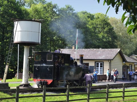 Welshpool Light Railway, Powys