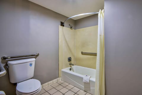 Deluxe Room, 1 King Bed, Accessible, Non Smoking | Accessible bathroom