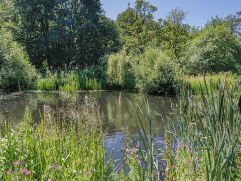 Surrounding area | Waterside Lodge Fourteen - Ashgrove Country Park, Elland