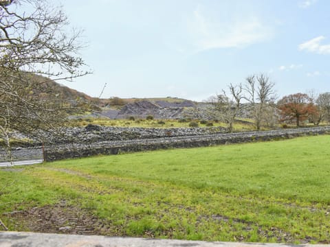 View | Ty Mawr 1 - Ty Mawr Cottages, Windermere