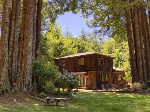 Serenity Grove - Chill and relax  - Welcome