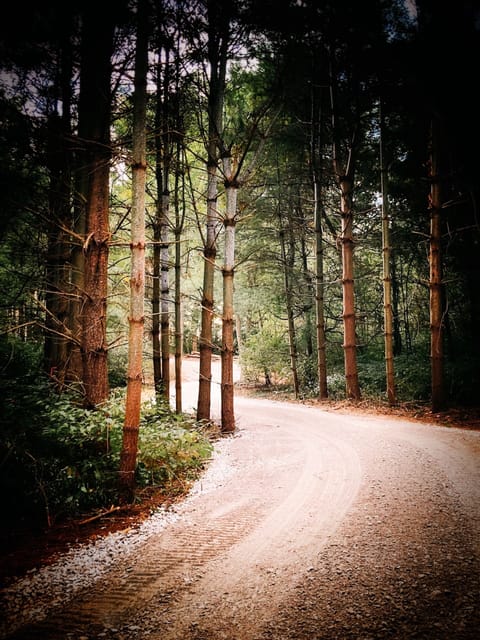 The beautiful entrance to Twelve34 House
